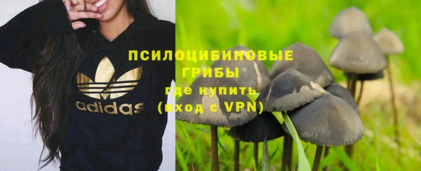 PSILOCYBIN Алексеевка