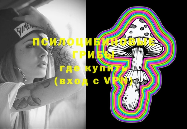 PSILOCYBIN Алексеевка