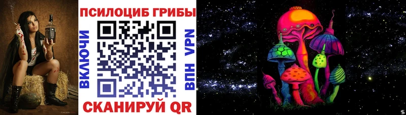 нарко площадка какой сайт хочу Избербаш Галлюциногенные грибы Cubensis